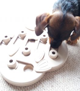 Dog playing with puzzle