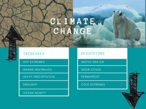 increases and reductions climate change