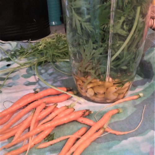 Mix for Carrot Top Pesto