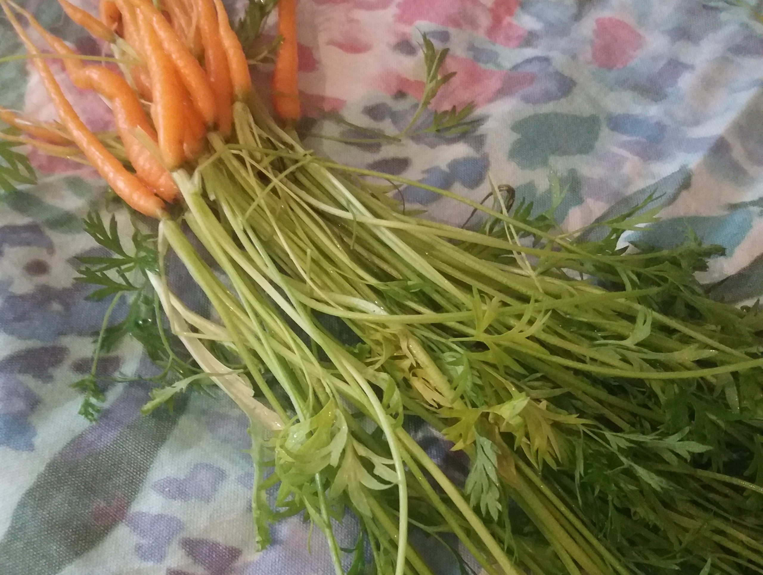 Carrot Top Pesto