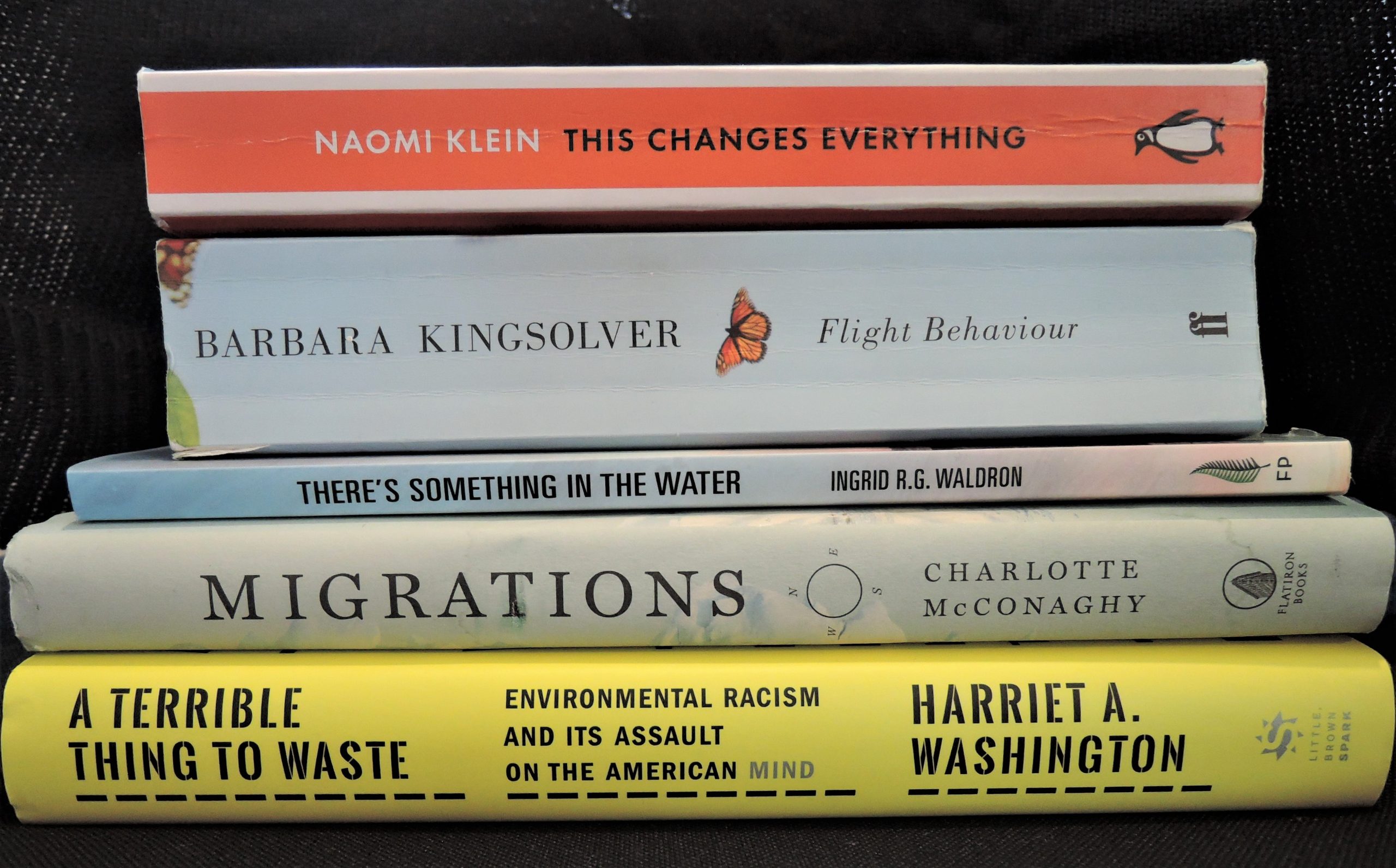 Reading to Save the Planet: Books on Climate Change