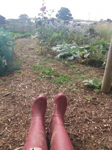 photo of wellies in allotment