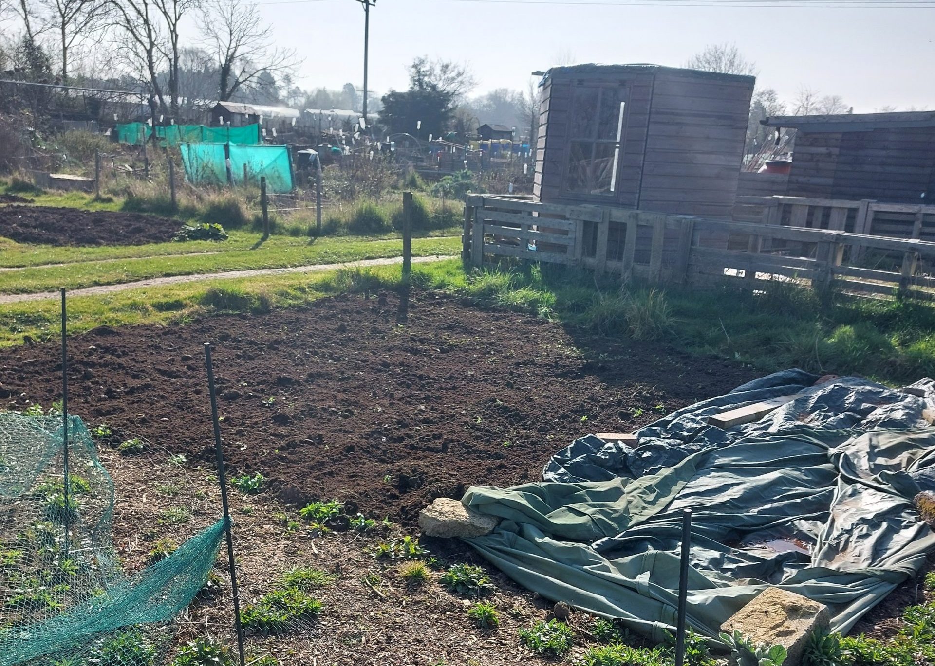 Allotment in March 2022